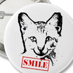 cat smiling from omniverz.com