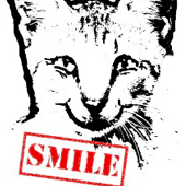 Smiling cat image sold at Omniverz.com
